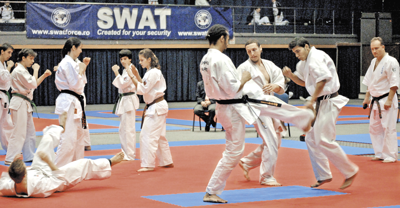 Rezultatele Campionatului Mondial de Ashihara Karate găzduit de Braşov la început de noiembrie